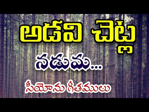 Adavi Chetla Naduma || Hebron Song || Songs of zion