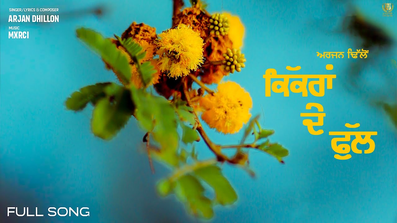Kikran De Phull (Official Song) Arjan Dhillon | | Mxrci | Panj-aab Records
