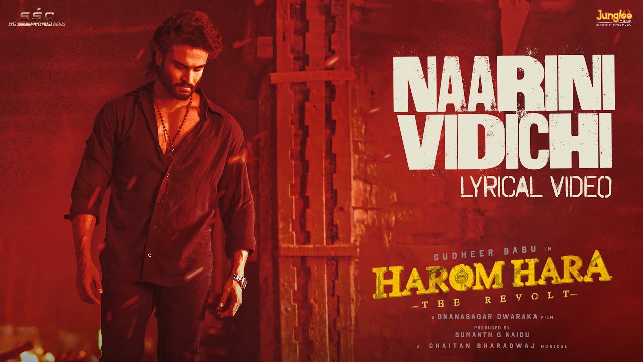 Naarini Vidichi | Lyrical Video | Harom Hara | Sudheer Babu | Malvika | Gnanasagar| ChaitanBharadwaj