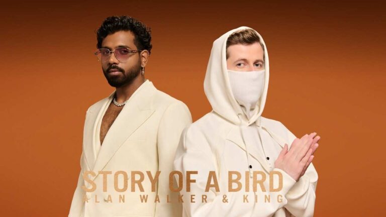 Story of a Bird Lyrics in Hindi - King, Alan Walker