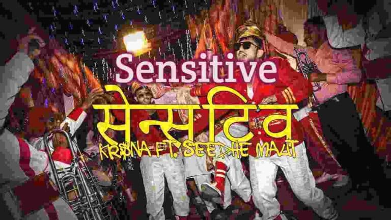 Sensitive Lyrics in Hindi - KRSNA, Seedhe Maut