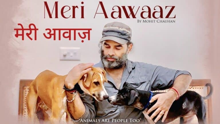 Meri Aawaaz Lyrics – Mohit Chauhan