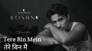Tere Bin Mein Lyrics – Ali Zafar