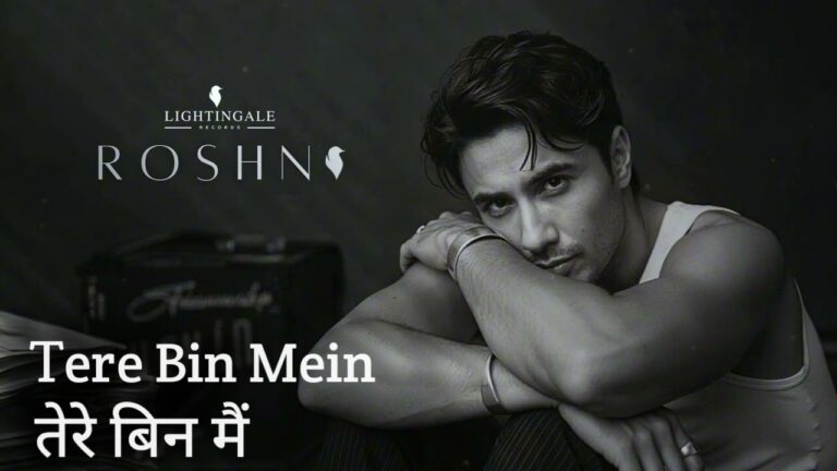Tere Bin Mein Lyrics – Ali Zafar