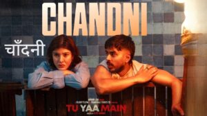 Chandni Lyrics – Tu Yaa Main