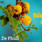 Kikran De Phull Lyrics – Arjan Dhillon