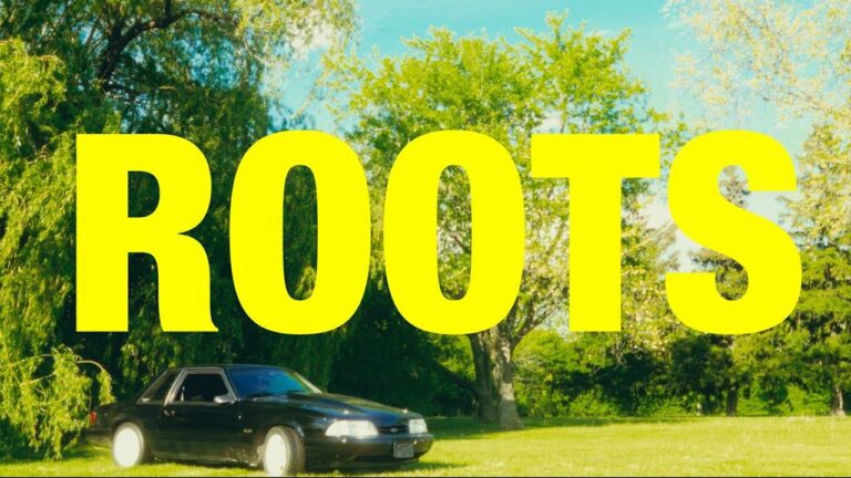 Roots Lyrics – Sardara