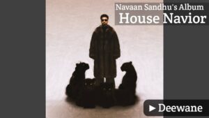 Deewane Lyrics – Navaan Sandhu, Bir