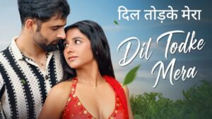 Dil Todke Mera Lyrics – Abhishek