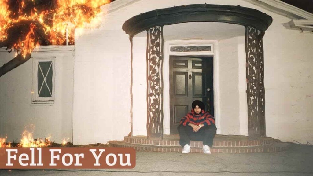 Fell For You Lyrics - Shubh | from the album Sicario